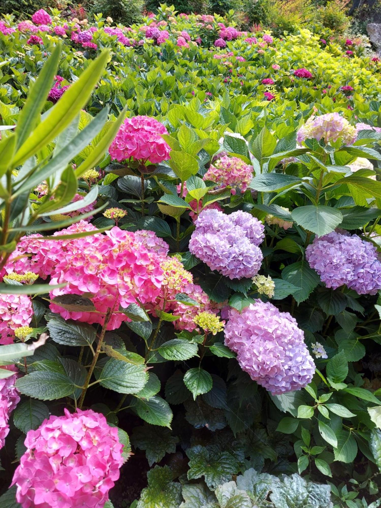 Lago 21 - Garden Terrace & Lake View パストレンゴ エクステリア 写真